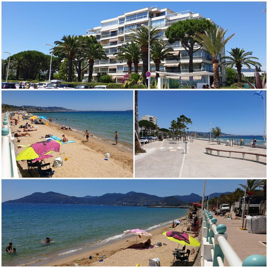 Garden And Beach Sea View Apartment Cannes Ngoại thất bức ảnh