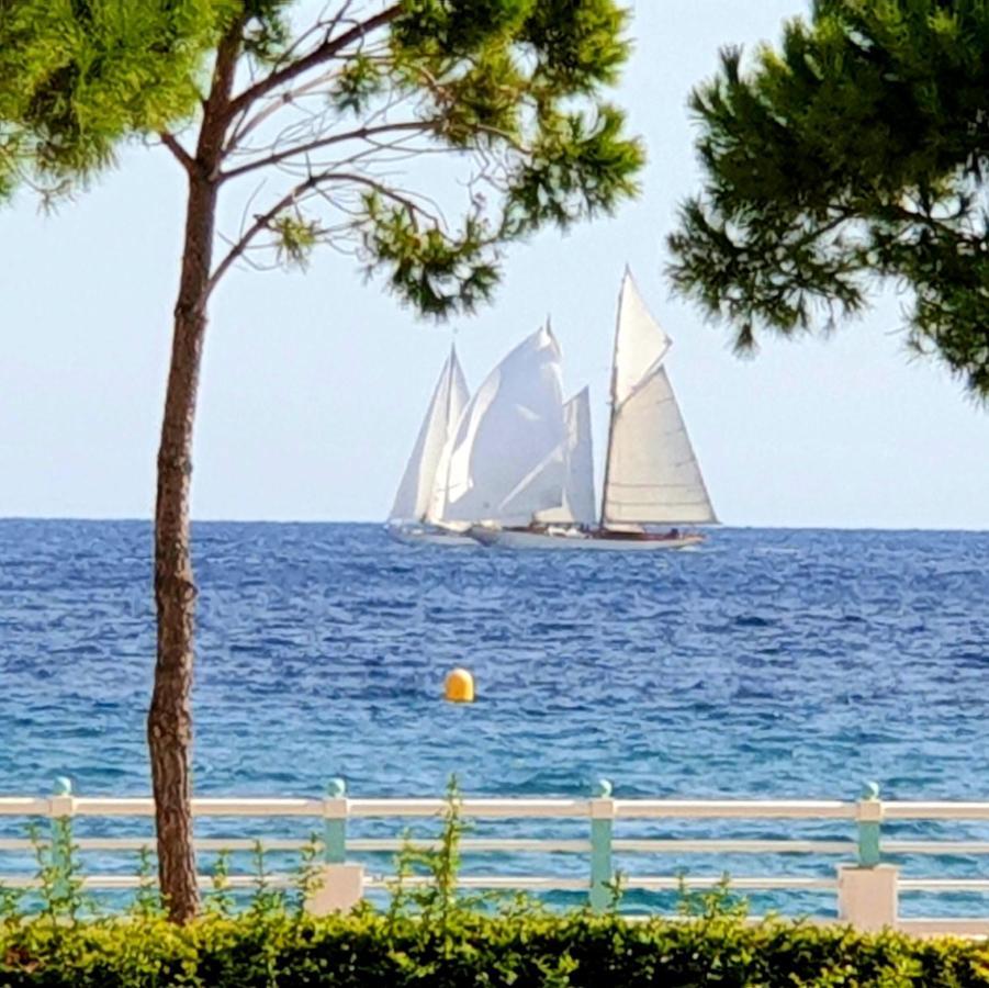 Garden And Beach Sea View Apartment Cannes Ngoại thất bức ảnh